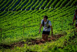 BIB: 
                            <button type="button" onclick="openModal(19160736)" class="btn btn-primary btn-sm float-right btn-popup" data-toggle="modal" data-target=".modal-high-quality">
                        <i class="fas fa-shopping-cart"></i> Add to Cart
                    </button>
                                            <button type="button" onclick="isThisMe(19160736, true)" class="btn btn-success btn-sm float-right btn-popup btn-isme hidden" data-toggle="tooltip" data-placement="bottom" title="นี่คือรูปของคุณใช่ไหม คลิกที่นี่เพื่อเอาเข้าอัลบั้ม">
                        <i class="fas fa-plus"></i> Add to album
                    </button>
                    <button type="button" onclick="isThisMe(19160736, false)" class="btn btn-warning btn-sm float-right btn-popup btn-isnotme hidden">
                        <i class="fas fa-ban"></i> Remove from album
                    </button>